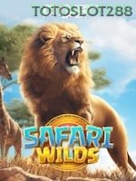 Safari Wilds